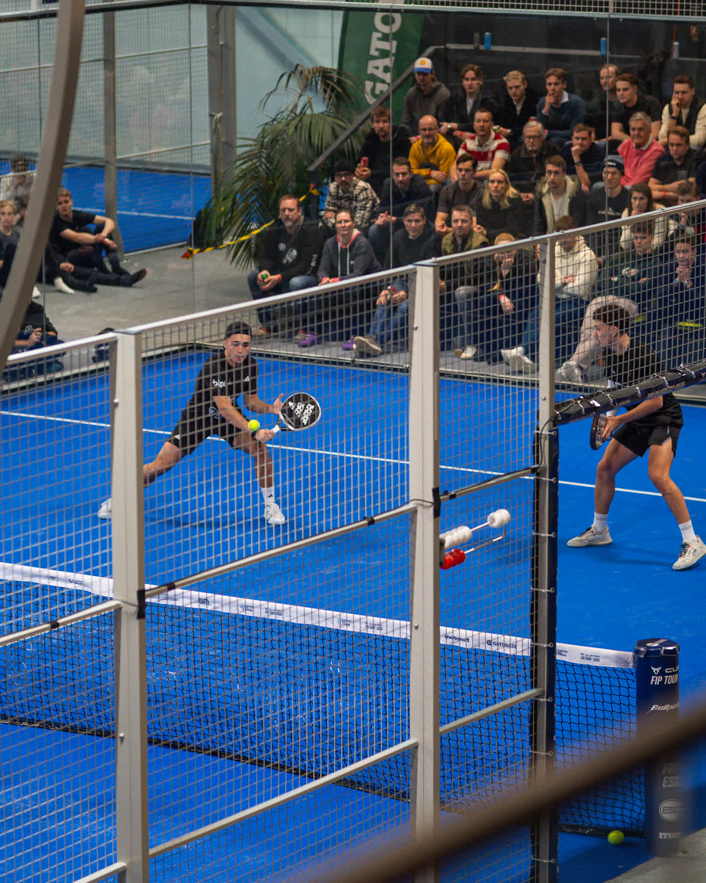 A professional padel rally in front of packed stands
